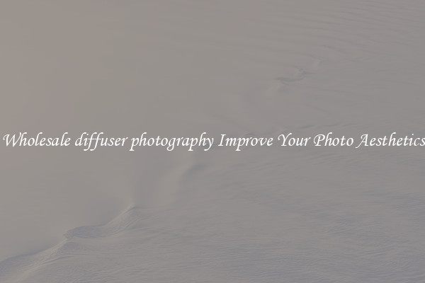 Wholesale diffuser photography Improve Your Photo Aesthetics