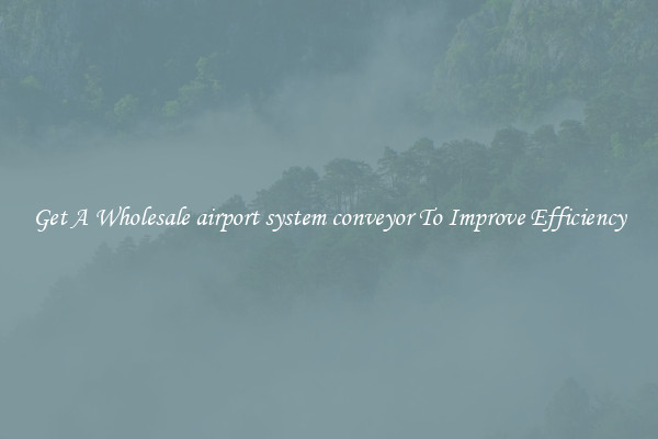 Get A Wholesale airport system conveyor To Improve Efficiency