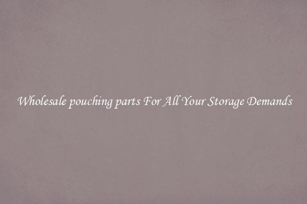Wholesale pouching parts For All Your Storage Demands