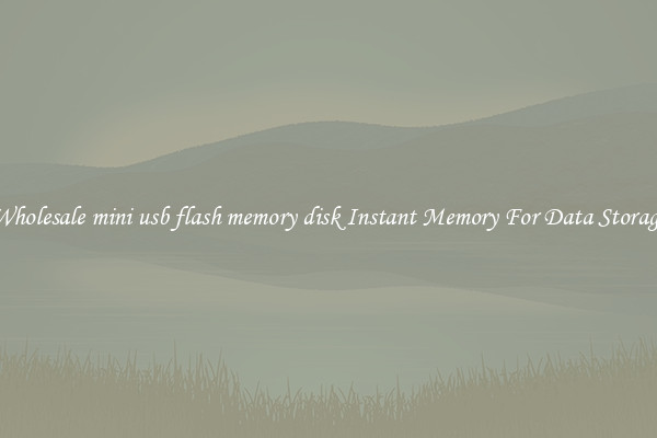 Wholesale mini usb flash memory disk Instant Memory For Data Storage