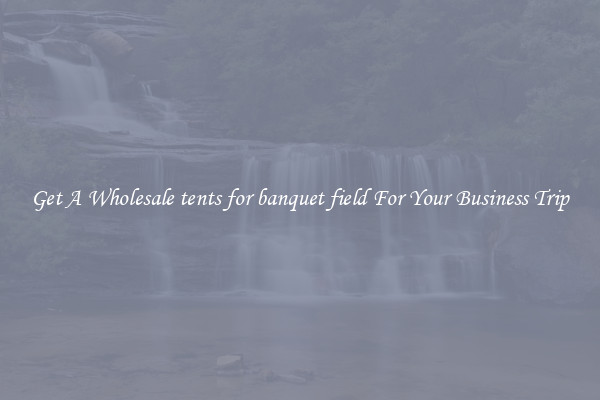 Get A Wholesale tents for banquet field For Your Business Trip