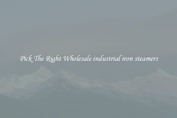 Pick The Right Wholesale industrial iron steamers