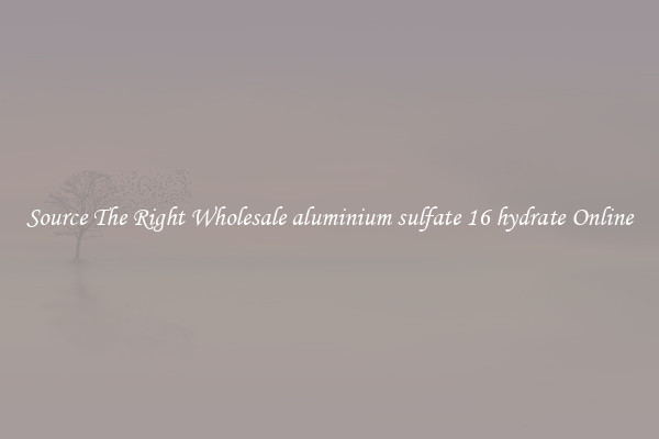 Source The Right Wholesale aluminium sulfate 16 hydrate Online