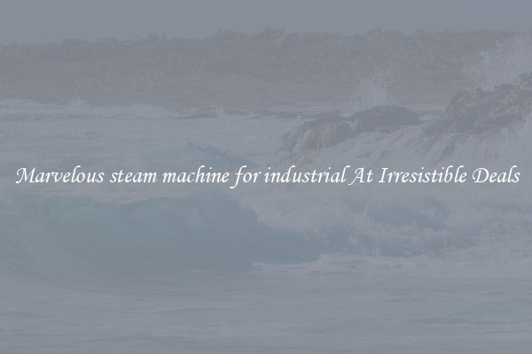Marvelous steam machine for industrial At Irresistible Deals