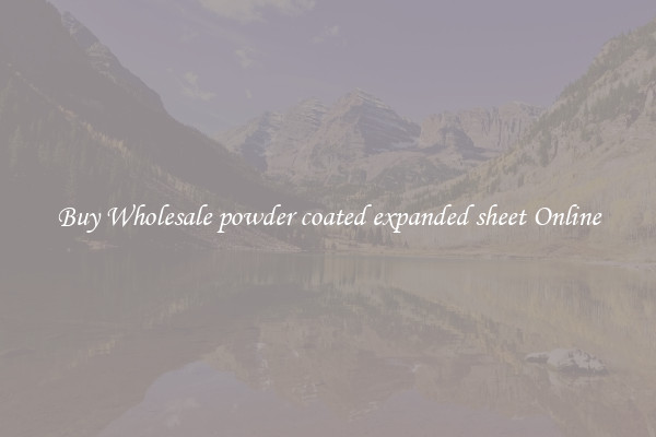 Buy Wholesale powder coated expanded sheet Online