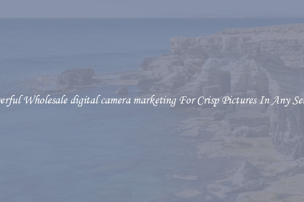 Powerful Wholesale digital camera marketing For Crisp Pictures In Any Setting