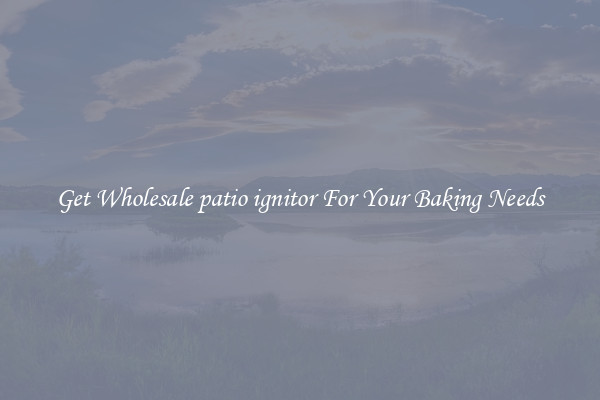 Get Wholesale patio ignitor For Your Baking Needs