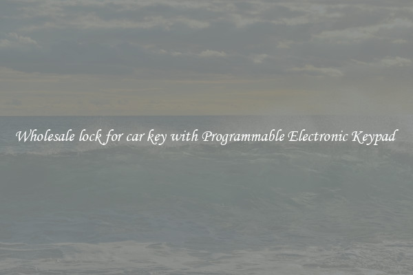 Wholesale lock for car key with Programmable Electronic Keypad 