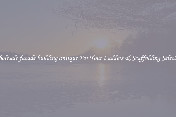 Wholesale facade building antique For Your Ladders & Scaffolding Selection