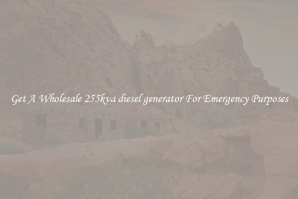 Get A Wholesale 255kva diesel generator For Emergency Purposes