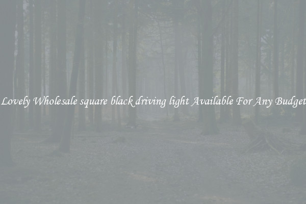Lovely Wholesale square black driving light Available For Any Budget