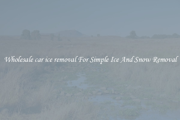 Wholesale car ice removal For Simple Ice And Snow Removal