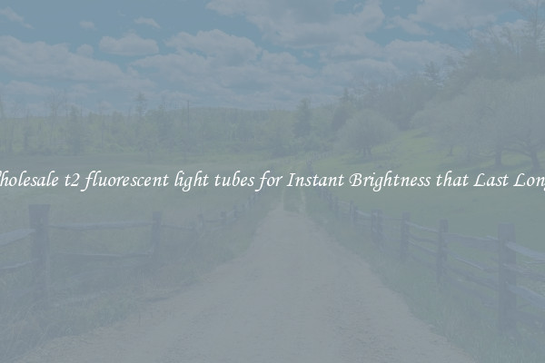 Wholesale t2 fluorescent light tubes for Instant Brightness that Last Longer