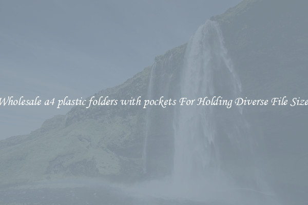 Wholesale a4 plastic folders with pockets For Holding Diverse File Sizes