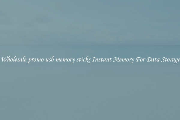 Wholesale promo usb memory sticks Instant Memory For Data Storage