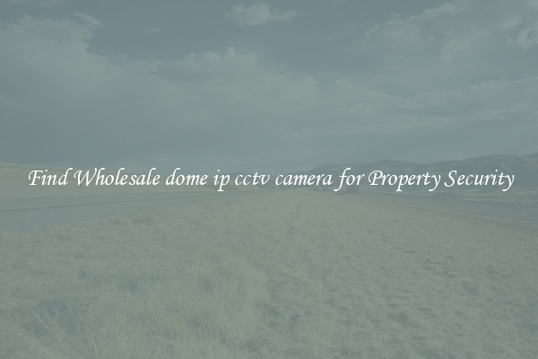 Find Wholesale dome ip cctv camera for Property Security