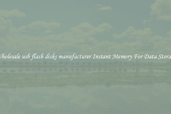 Wholesale usb flash disks manufacturer Instant Memory For Data Storage