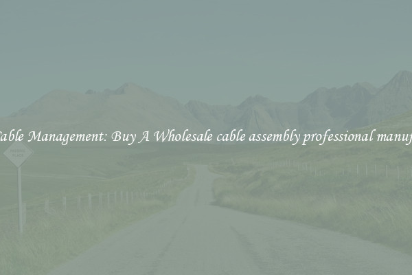 Easy Cable Management: Buy A Wholesale cable assembly professional manufacturer