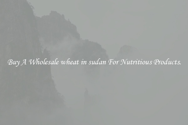 Buy A Wholesale wheat in sudan For Nutritious Products.