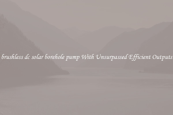 brushless dc solar borehole pump With Unsurpassed Efficient Outputs