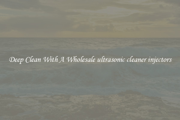 Deep Clean With A Wholesale ultrasonic cleaner injectors