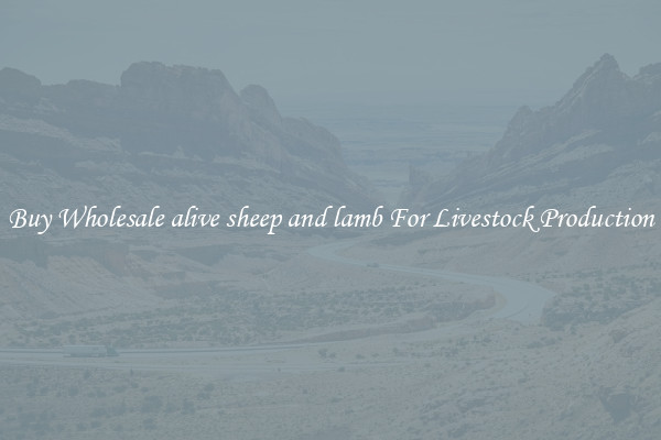 Buy Wholesale alive sheep and lamb For Livestock Production