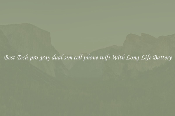 Best Tech-pro gray dual sim cell phone wifi With Long-Life Battery