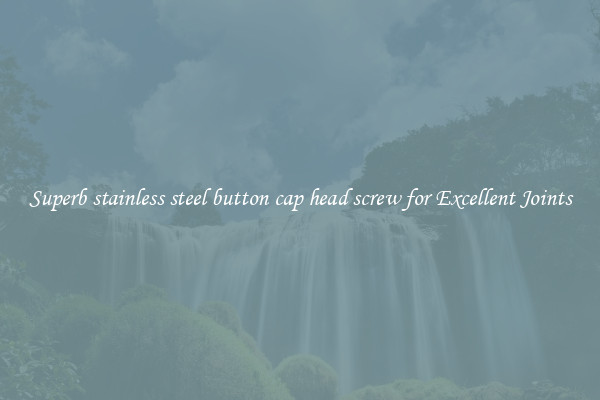 Superb stainless steel button cap head screw for Excellent Joints